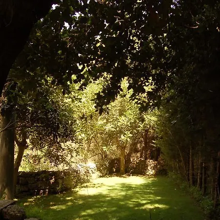 Masseria Convento بيت للعطل *