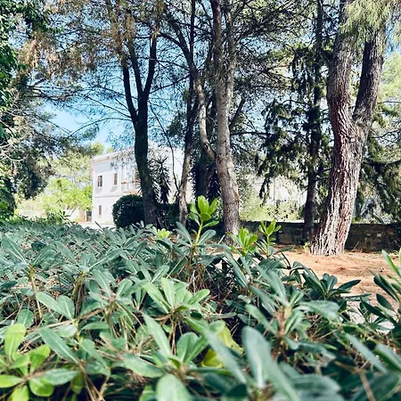 Ferienhaus Masseria Convento